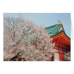 Japan, Kyoto. Cherry-bloesem van Shinto