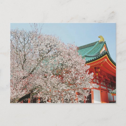 Japan, Kyoto. Cherry-bloesem van Shinto Briefkaart (Voorkant)