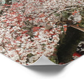 Japan, Kyoto. Cherry-bloesem van Shinto Poster (Hoek)