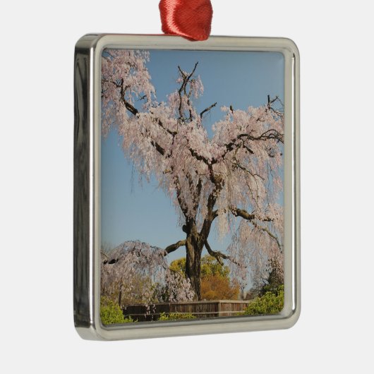 Japan, Kyoto. De kersenboom onder de blauwe hemel Metalen Ornament (Rechts)