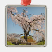 Japan, Kyoto. De kersenboom onder de blauwe hemel Metalen Ornament (Voorkant)