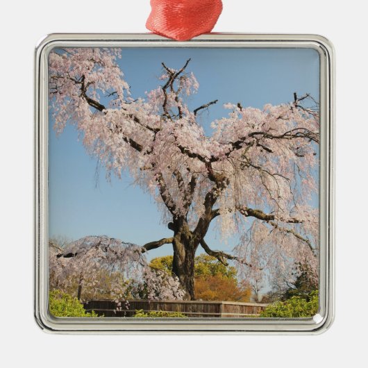 Japan, Kyoto. De kersenboom onder de blauwe hemel Metalen Ornament (Voorkant)