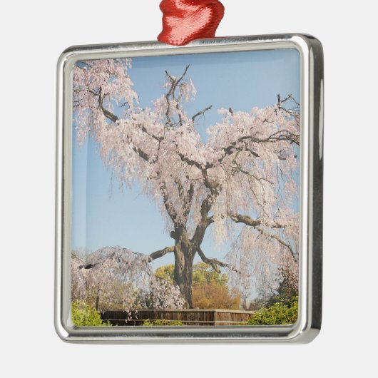 Japan, Kyoto. De kersenboom onder de blauwe hemel Metalen Ornament (Links)