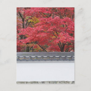 Japan, Kyoto, herfstkleuren in Eikando tempel Briefkaart