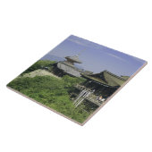 Japan, Kyoto, het Uitzicht van de Kiyomizu-tempel Tegeltje (Zijkant)