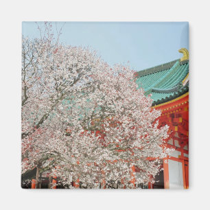 Japan, Kyoto. Kersenbloesem van Shinto Magneet