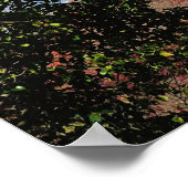 Japan, Kyoto. Kiyomizu-tempel in de herfstkleur Poster (Hoek)