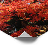 Japan, Kyoto. Kiyomizu-tempel in de herfstkleur Poster (Hoek)