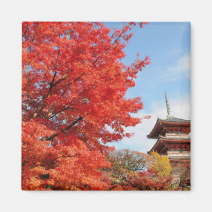 Japan, Kyoto. Kiyomizu tempel in herfstkleuren Magneet