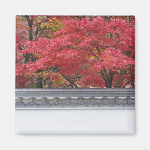 Japan, Kyoto, najaarkleur bij Eikando-tempel Magneet