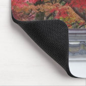 Japan, Kyoto, najaarkleur bij Eikando-tempel Muismat (Hoek)