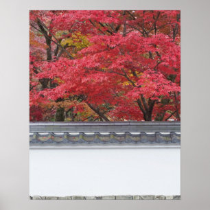 Japan, Kyoto, najaarkleur bij Eikando-tempel Poster