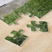 Japan, Kyoto, Nijo Castle Legpuzzel (Zijkant)