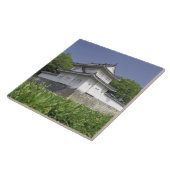 Japan, Kyoto, Nijo Castle Tegeltje (Zijkant)