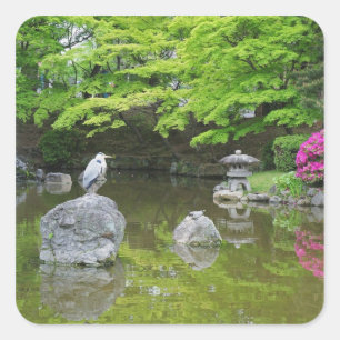 Japan, Kyoto. Reiger in frisgroene bladeren Vierkante Sticker