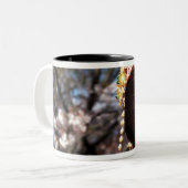 Japan, Kyoto. Sluiting achterste uitzicht van geis Tweekleurige Koffiemok (Voorkant links)