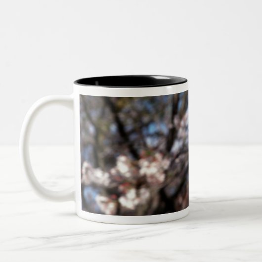 Japan, Kyoto. Sluiting achterste uitzicht van geis Tweekleurige Koffiemok (Links)