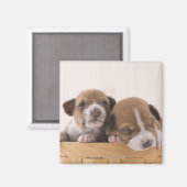 Japan Magneet (Voorkant / Achterkant)