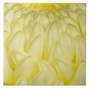 Japan, Mie, Ise Schrijn, Chrysanthemum Tegeltje