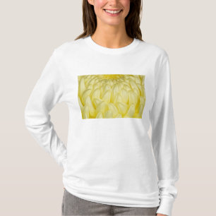 Japan, Mie, Ise Shrine, Chrysanthemum T-shirt