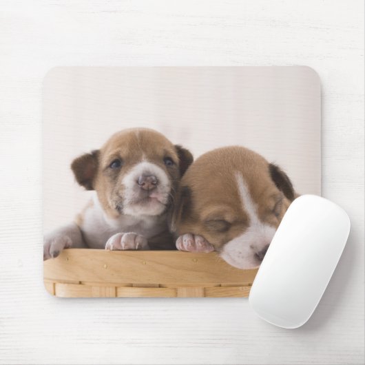 Japan Muismat (Met muis)