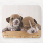 Japan Muismat (Voorkant)