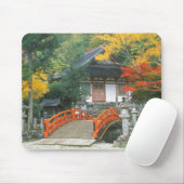 Japan, Nara, Ryuzenji-tempel Muismat (Met muis)