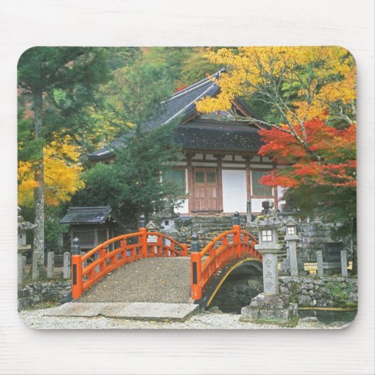 Japan, Nara, Ryuzenji-tempel Muismat (Voorkant)