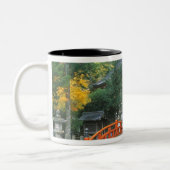 Japan, Nara, Ryuzenji Temple Tweekleurige Koffiemok (Links)