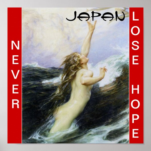 JAPAN NEVER LOSE HOPE POSTER (Voorkant)