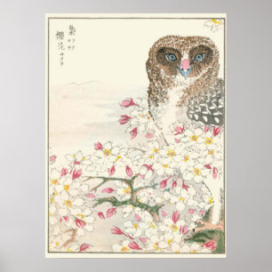 Japan Owl  print