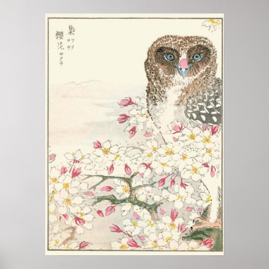 Japan Owl  print (Voorkant)