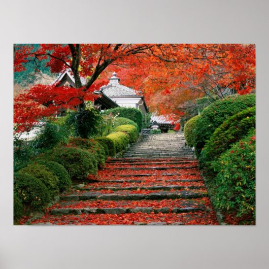 Japan Poster (Voorkant)