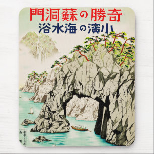 Japan Reizen Eiland Okinawa Muismat
