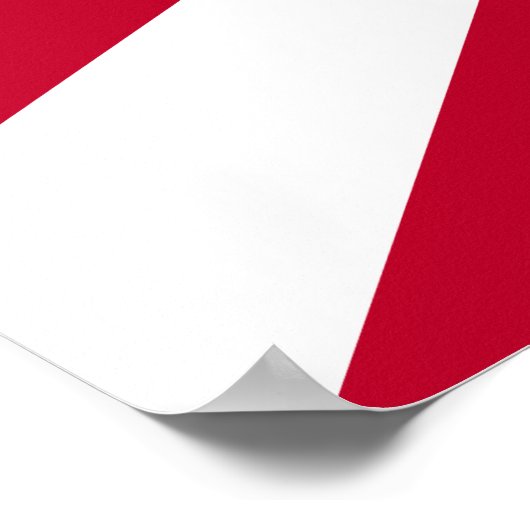 Japan Rising Sun Flag Poster (Hoek)