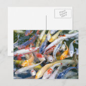 Japan, Tokio, close-up zwemvissen Briefkaart (Voorkant / Achterkant)