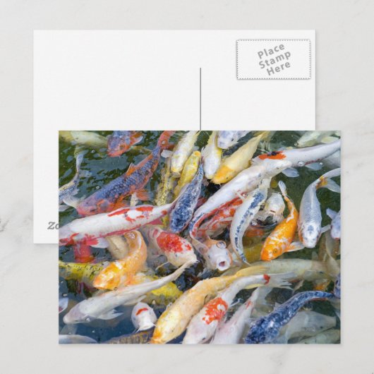Japan, Tokio, close-up zwemvissen Briefkaart (Voorkant / Achterkant)