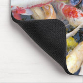 Japan, Tokio, close-up zwemvissen Muismat (Hoek)