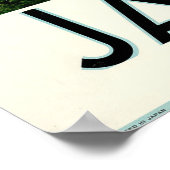 Japan Travel Poster (Hoek)