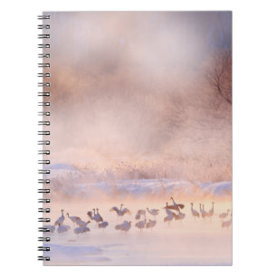 Japan winter natuur. Wildlife scène, sneeuwige nat Notitieboek