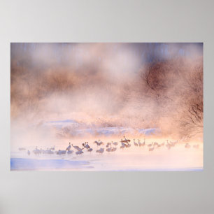 Japan winter natuur. Wildlife scène, sneeuwige nat Poster