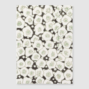 Japan Witte Bloemtuin