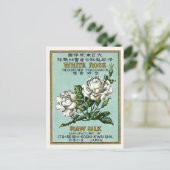  Japan Zijderreclame Witte Rose Briefkaart (Staand voorkant)