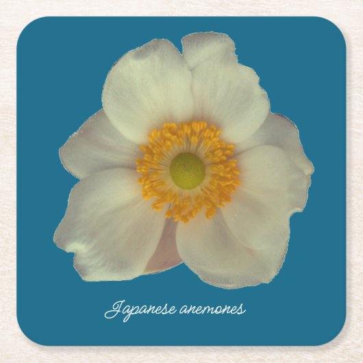 Japanese anemones flower kartonnen onderzetters (Voorkant)