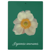 Japanese anemones flower klembord (Achterkant)