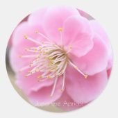 Japanese Apricot [Round Seal] Ronde Sticker (Voorkant)