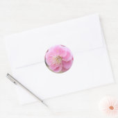 Japanese Apricot [Round Seal] Ronde Sticker (Envelop)