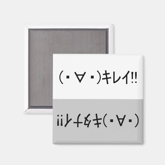 Japanese ASCII Art「キレイ!」&「キタナイ!」dishwasher magnet (Voorkant / Achterkant)