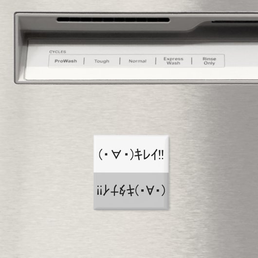 Japanese ASCII Art「キレイ!」&「キタナイ!」dishwasher magnet (Insitu (Vaatwasser))