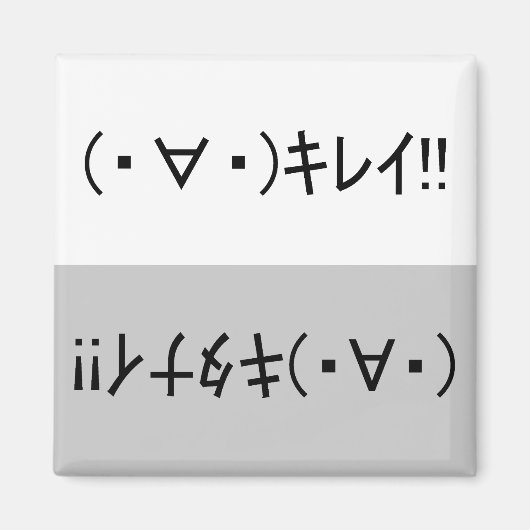Japanese ASCII Art「キレイ!」&「キタナイ!」dishwasher magnet (Voorkant)
